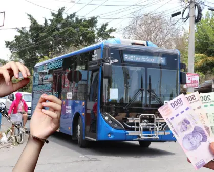 Ley Va y Ven: estas son la sanciones por daños al transporte público en Yucatán