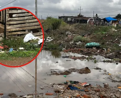 Este lugar de Durango se encuentra entre los charcos y la basura