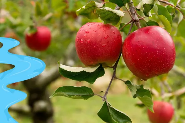 El río de Durango que da vida a la zona frutícola más importante de Durango