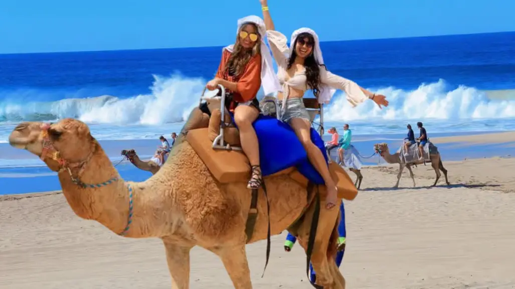 Por menos de 230 pesos: tour en camello y todoterreno en Los Cabos