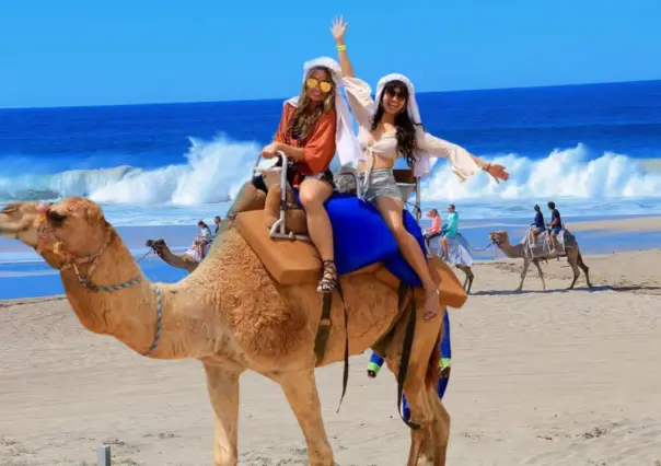 Por menos de 230 pesos: tour en camello y todoterreno en Los Cabos
