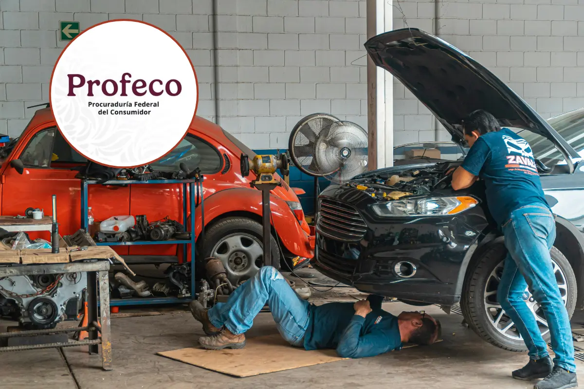 Créditos: Profeco, Canva.
