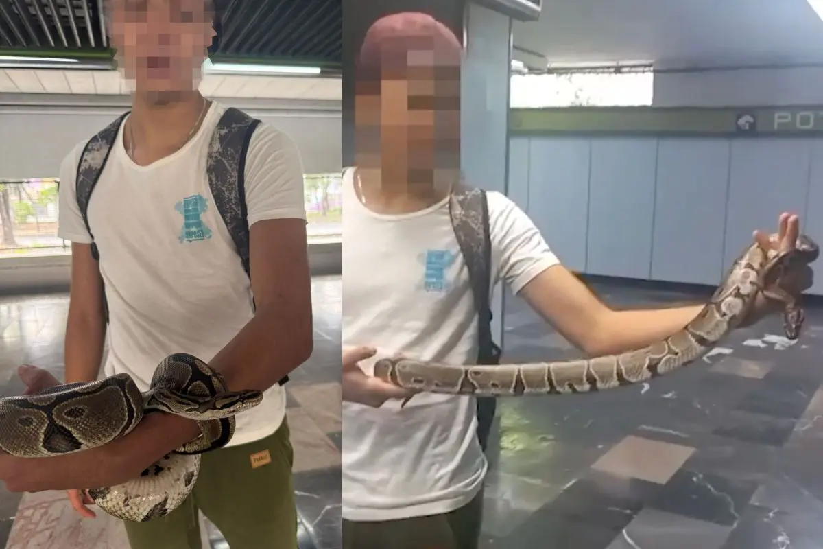 Joven ingresa con una serpiente a la estación Potrero de la Línea 3 del Metro CDMX. Foto: X (@Metro_CDMX)