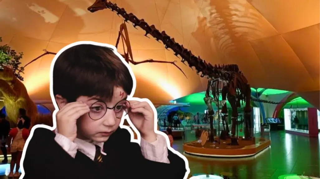 Vacaciones mágicas en Chapultepec: talleres y juegos de Harry Potter por 18 pesos