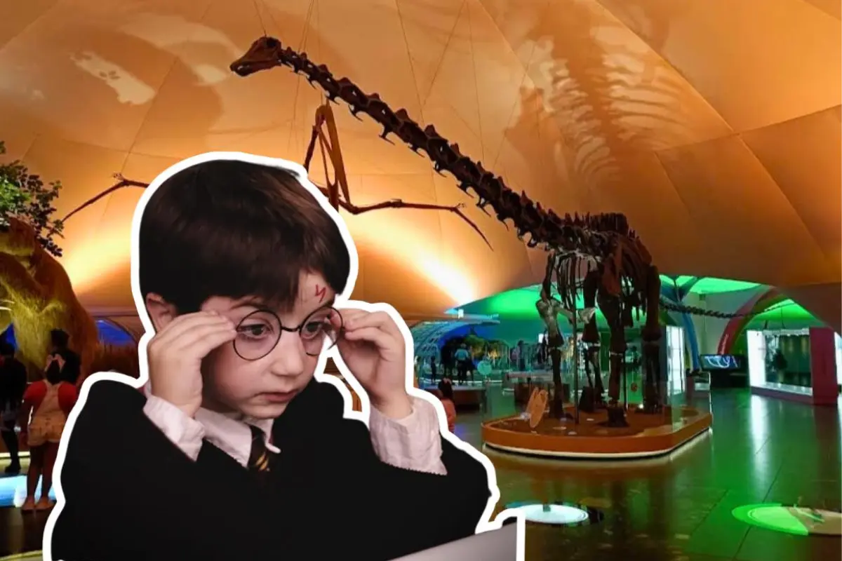 Brandon Vallejo | FB Harry Potter