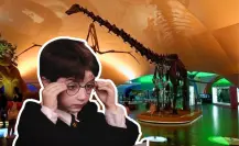 Vacaciones mágicas en Chapultepec: talleres y juegos de Harry Potter por 18 pesos