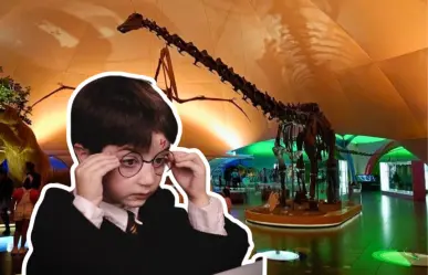 Vacaciones mágicas en Chapultepec: talleres y juegos de Harry Potter por 18 pesos