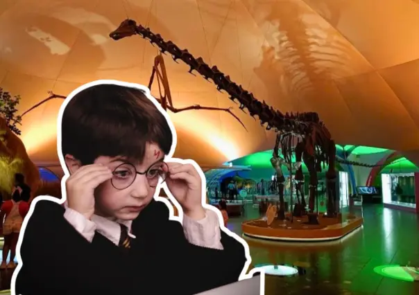 Vacaciones mágicas en Chapultepec: talleres y juegos de Harry Potter por 18 pesos