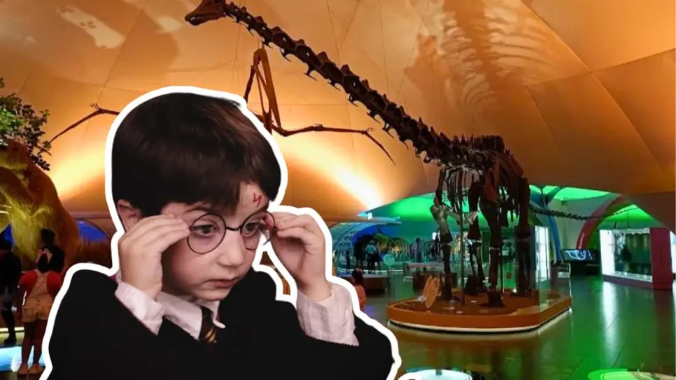 Vacaciones mágicas en Chapultepec: talleres y juegos de Harry Potter por 18 pesos