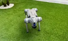 Conoce a “Waldog”, el primer robot político en Nuevo León