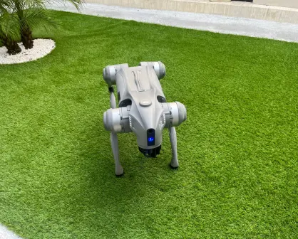 Conoce a "Waldog", el primer robot político en Nuevo León