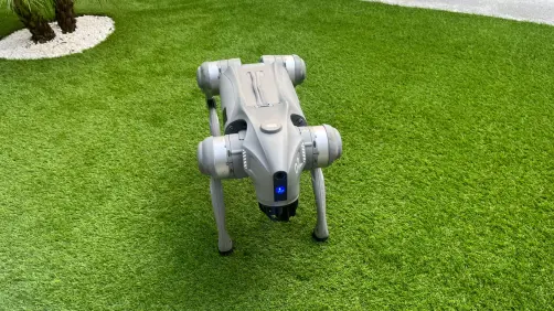 Conoce a "Waldog", el primer robot político en Nuevo León