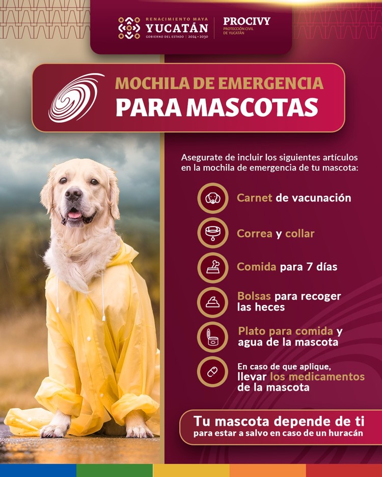 imagen-cuerpo imagen-cuerpo
