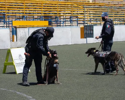 Bebeto y César: los agentes caninos que se despiden tras años de servicio en Saltillo