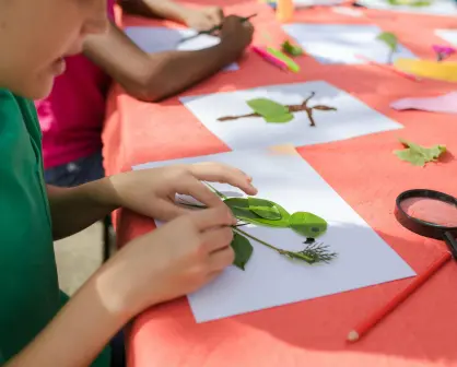 Campamento de verano Baaxal Paal Renacimiento en Yucatán, esto es lo que debes saber