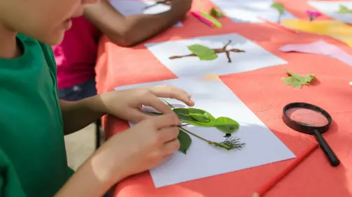 Campamento de verano Baaxal Paal Renacimiento en Yucatán, esto es lo que debes saber