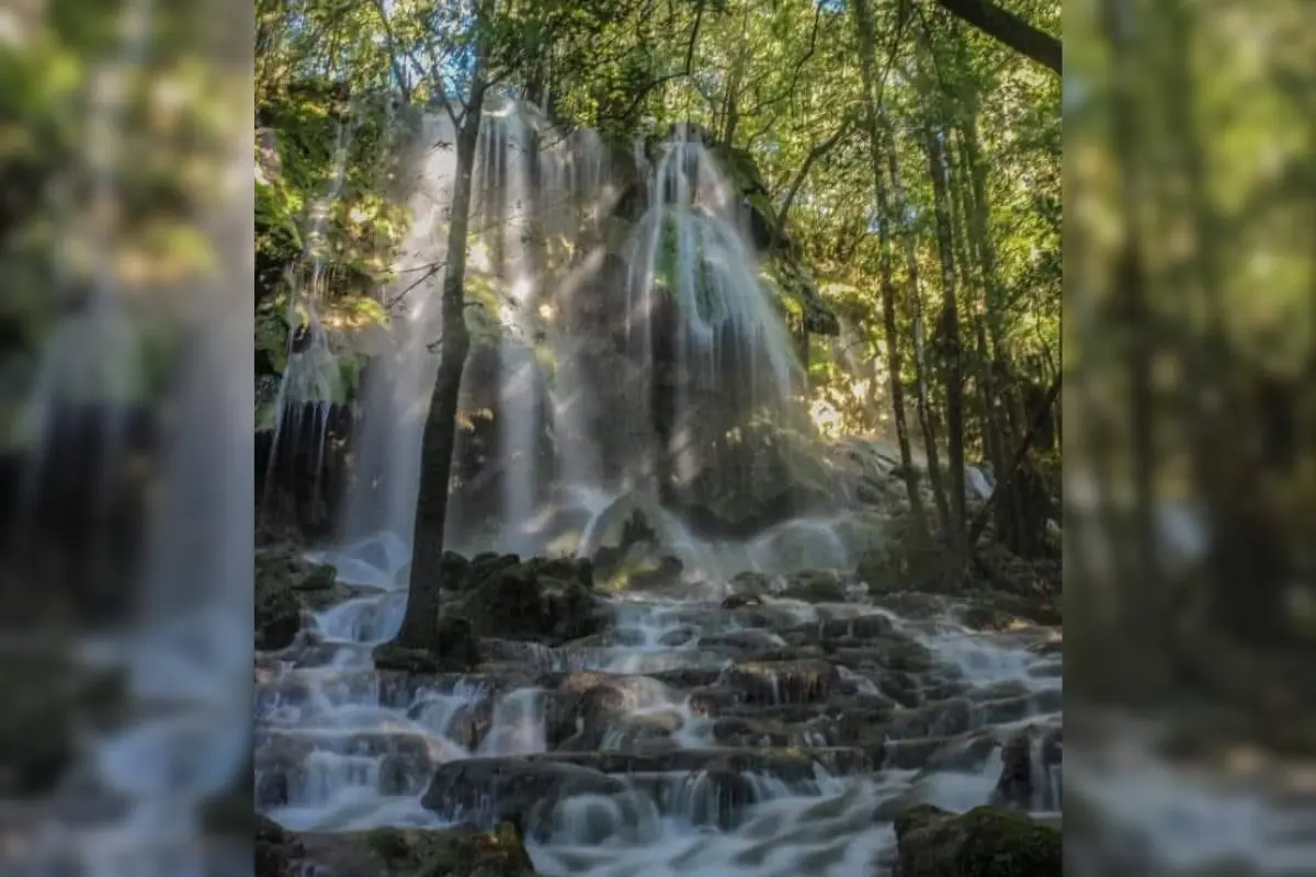 La Reserva de la Biósfera El Cielo en Gómez Farías, Tamaulipas | Foto: Mario Alberto Alvarez