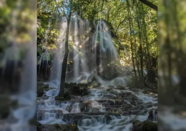 Este río forma una de las cascadas más hermosas y mágicas en la reserva de El Cielo