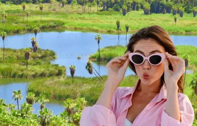 ¿Cuántos oasis tiene Baja California Sur? Descubre los enigmáticos refugios del desierto