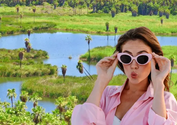 ¿Cuántos oasis tiene Baja California Sur? Descubre los enigmáticos refugios del desierto
