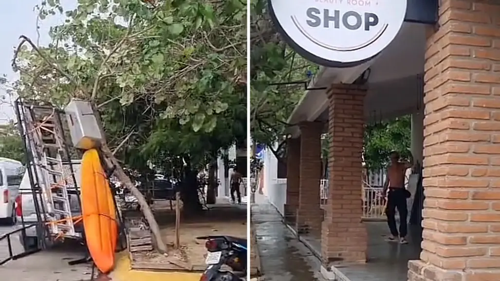 VIDEO | Turista estadounidense huye tras chocar contra árbol en Oaxaca