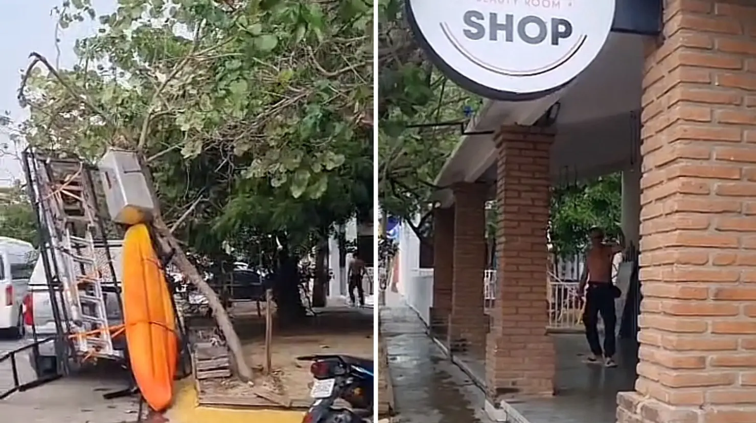 VIDEO | Turista estadounidense huye tras chocar contra árbol en Oaxaca. Foto: TikTok (@puertoescondidooax)