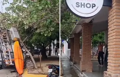VIDEO | Turista estadounidense huye tras chocar contra árbol en Oaxaca