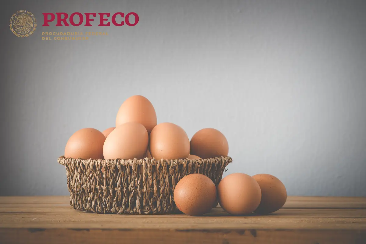 Te presentamos la marca de huevo rica en Omega 3 que podría sorprenderte por su calidad y cantidad de nutrientes. Foto: Canva