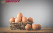 Esta es la marca de huevo con más omega 3 y cuesta 86 pesos, según Profeco