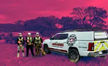 Binomios caninos de Santa Catarina se unen a operativo en Texas