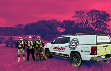 Binomios caninos de Santa Catarina se unen a operativo en Texas