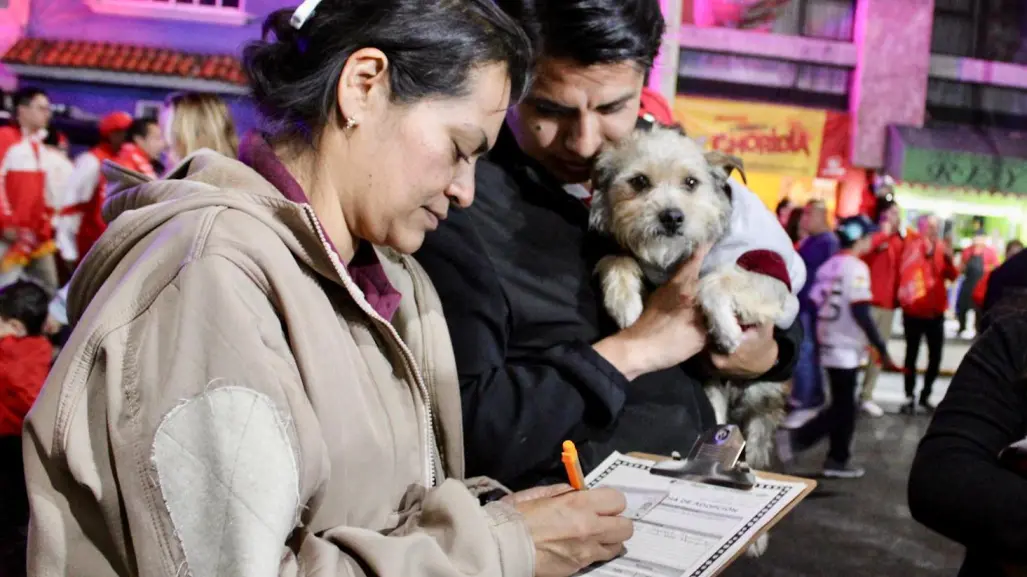 El programa de Nezahualcóyotl para dar hogar a perritos rescatados en Edomex
