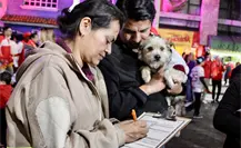 El programa de Nezahualcóyotl para dar hogar a perritos rescatados en Edomex