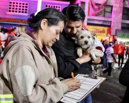 El programa de Nezahualcóyotl para dar hogar a perritos rescatados en Edomex