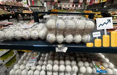Por esta razón el kilo de huevo en Durango aumenta su precio