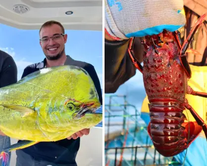 6 especies marinas que se pescan en BCS y lo que pasa con ellas