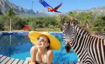 Vacaciones en Nuevo León: Escápate a la aventura en este lugar con albercas y animales exóticos