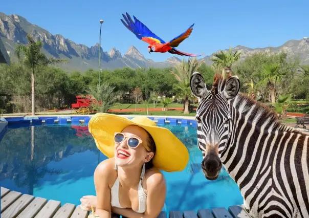 Vacaciones en Nuevo León: Escápate a la aventura en este lugar con albercas y animales exóticos