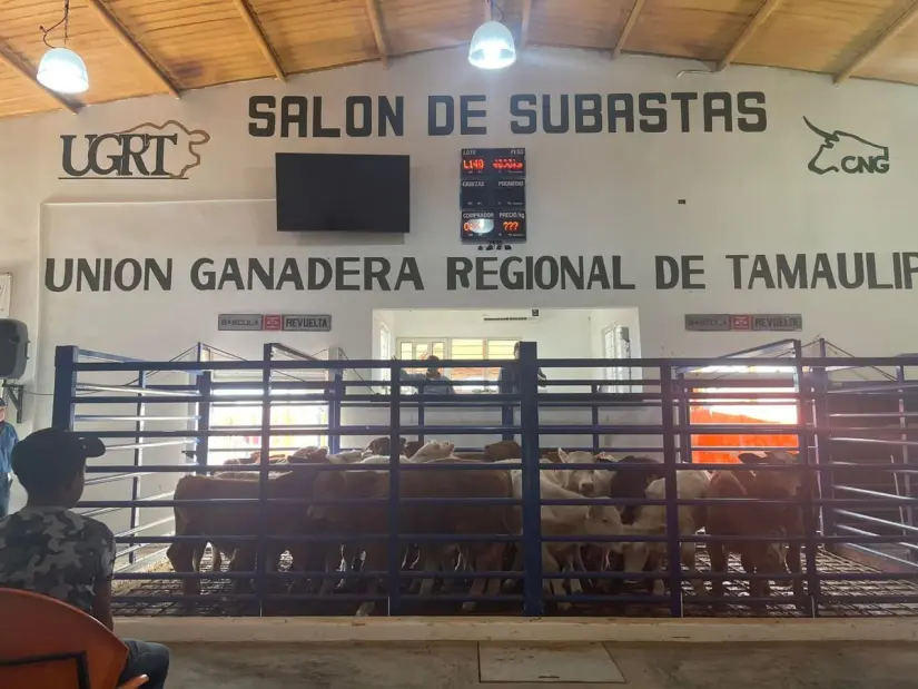 imagen recuadro