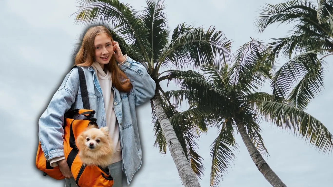 ¿Qué debe contener la mochila de emergencia de tu mascota?. Foto: CANVA