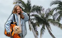 6 cosas que tu mascota necesita tener en su mochila de emergencia ante huracanes en Yucatán