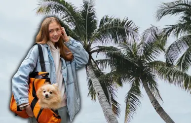 6 cosas que tu mascota necesita tener en su mochila de emergencia ante huracanes en Yucatán