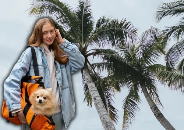 6 cosas que tu mascota necesita tener en su mochila de emergencia ante huracanes en Yucatán