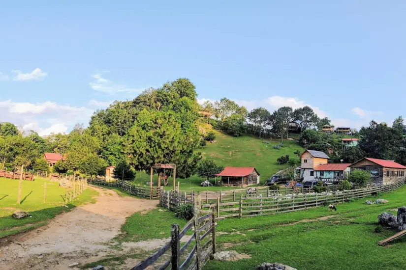 Reserva de la Biósfera El Cielo en el ejido San José | Foto: Reserva de la Biosfera 