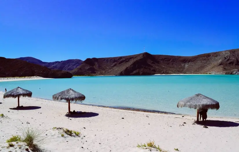 Es recomendable hacer reservación en línea para asegurar tu lugar. Foto: TripAdvisor