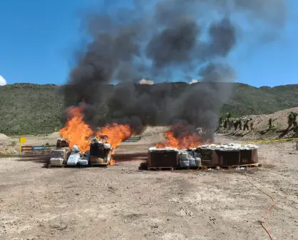 Incineran más de media tonelada de drogas decomisadas en Coahuila
