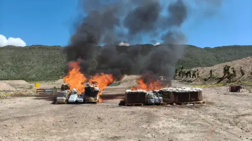 Incineran más de media tonelada de drogas decomisadas en Coahuila