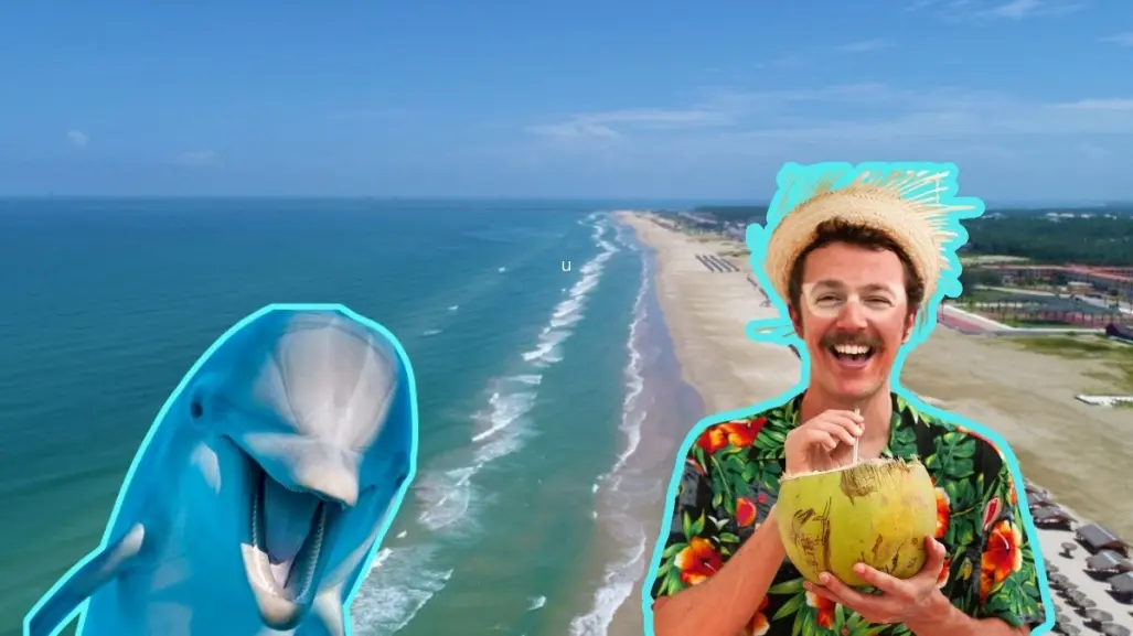 Esta es la playa a 6 horas de Monterrey para observar delfines