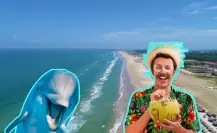 Esta es la playa a 6 horas de Monterrey para observar delfines