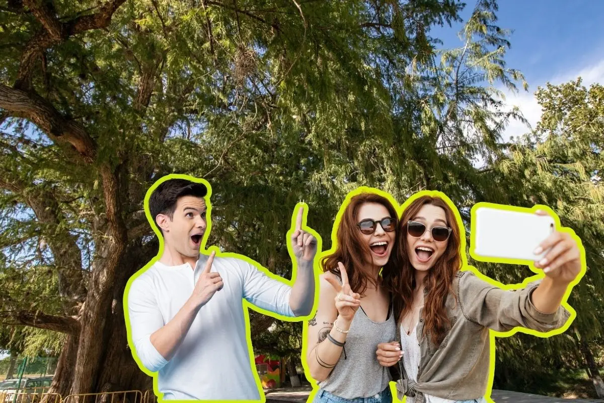 El Parque Recreativo El Sabino Gordo de General Terán es gratuito y cuenta con albercas, asadores y palapas. Foto: Facebook Nuevo Leon Traveler / Canva
